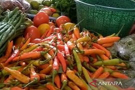 Cuaca pengaruhi harga cabai rawit merah di Purwokerto