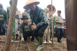 Pemkot Jambi optimalkan lahan tidur tanam padi dukung ketahanan pangan nasional