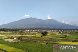 Aktivitas gempa Gunung Marapi didominasi hembusan-tremor non harmonik