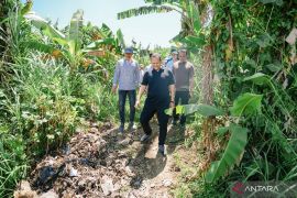 Wabup Badung pastikan pengolahan kompos di Penarungan patuhi lingkungan