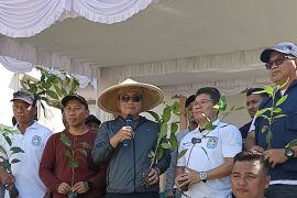 ANTARA Menanam di Kubu Raya wujudkan kelestarian lingkungan