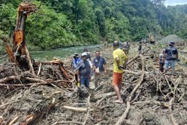 Pemkab Jayapura tertibkan aktivitas tambang ilegal