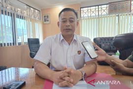 Polda Papua pada triwulan pertama amankan 18 kilogram ganja