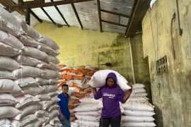 Penyaluran pupuk subsidi di Sulsel mencapai 170.000 ton pada triwulan I 2026