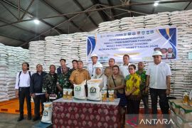 Bulog: Penerima bantuan pangan lima kabupaten di Papua Barat naik 82 persen