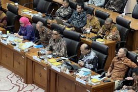 PLN akan eliminasi 2.139 mesin pembangkit listrik tenaga diesel