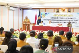 Mimika sosialisasikan Perda Perlindungan UMKM OAP