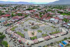 DLH Palu: Realisasi RTH 30 persen dilakukan bertahap mulai tahun 2026