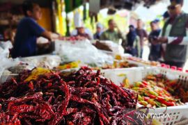 Pemkab Natuna bidik peluang kerja sama dengan PAUM jaga stabilitas harga pangan