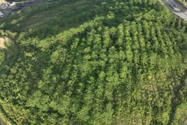 PT ABB dan SMM raih Peringkat Hijau PROPER 2024-2025 dari pemerintah