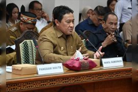 Kalteng - Pusat intensifkan komunikasi cari solusi tambang rakyat