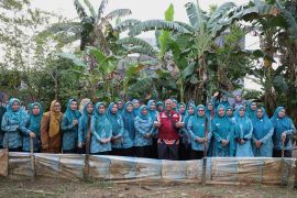 PKK Makassar bekali kader tata kelola kebun dan halaman produktif