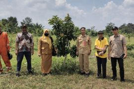DKPP Bojonegoro dorong produktivitas petani alpukat