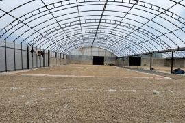 PEMA ekspor perdana 19 ton kopi Gayo ke Amerika Serikat