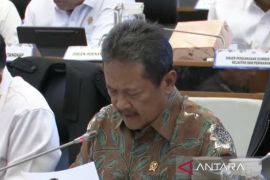 Indonesia fast-tracks blue carbon pricing program