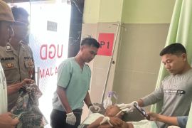 Segerombol Anjing Liar Serang Pelajar Sedang Main Layang-layang di Lotim Hingga Tewas