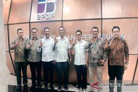 Madina - BPDP bahas strategi optimalisasi DBH Sawit dan penguatan SDM petani
