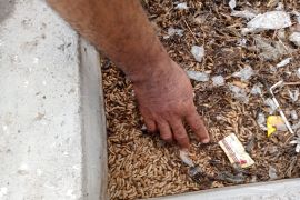 BRIDA Kota Mataram godok kajian solusi penanganan sampah berkelanjutan