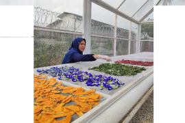 Pertamina EP Field Adera ajak warga Pengabuan hidup sehat dari kebun sendiri