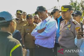 Mentan tegaskan Sumbar harus cepat tangani lahan terdampak bencana