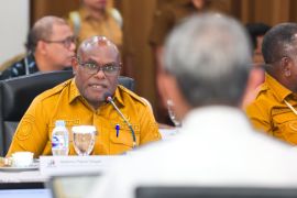 Meki Nawipa minta perbaikan skema transfer dana daerah