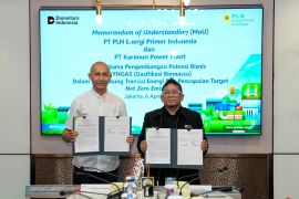 PLN EPI kembangkan gasifikasi biomassa di wilayah terpencil