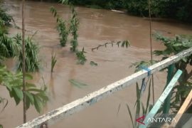 HST Kalsel kembali "baah"