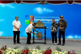 Kasulampua Miliki Peluang Besar Dorong Pertumbuhan Ekonomi Nasional