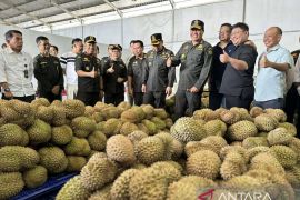 Barantin tinjau persiapan ekspor durian dari Palu ke Tiongkok