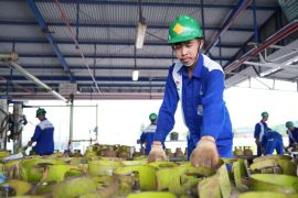 Pertamina Sulawesi tegaskan informasi pendaftaran pangkalan elpiji berbayar hoaks