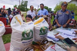 Bulog Kalteng pacu penyaluran bantuan pangan, sudah jangkau 43 ribu penerima
