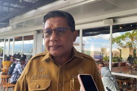 Pemkot Ambon siapkan aturan batasi penggunaan kantong plastik di tengah lonjakan harga