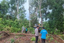 Polisi temukan aktivitas tambang timah ilegal di kawasan hutan produksi Bangka Selatan