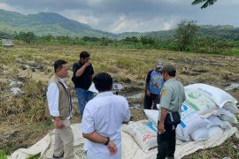 Hasil serapan Bulog DIY tembus 101 ribu ton setara beras