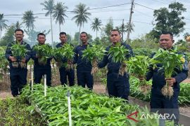 Jeruji tak halangi produktivitas, warga binaan Lapas Selatpanjang panen perdana