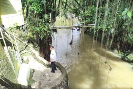 Sekda Pasaman Barat tinjau bencana banjir di Alahan Mati Pasaman