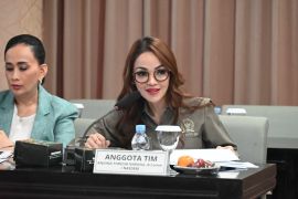 Garnita Nasdem: Komunikasi Nasdem-Gerindra bentuk kedewasaan politik