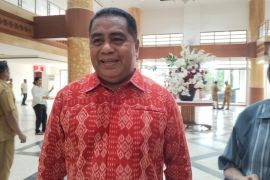 Tekan prinsip miskin struktur kaya fungsi, Watubun dukung perampingan OPD