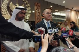 Indonesia-UAE boost renewable energy cooperation as ties mark 50 years