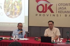 OJK tegaskan relaksasi SLIK tidak untuk hindari catatan NPL