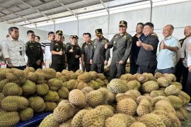 Badan Karantina Indonesia tinjau persiapan ekspor durian dari Palu ke Tiongkok