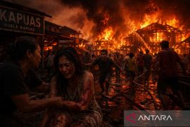 Si jago merah mengamuk di Kapuas, satu korban alami luka bakar