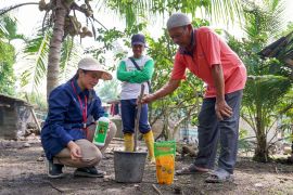 Dorong produktivitas pertanian, Pusri edukasi petani terkait pemupukan berimbang