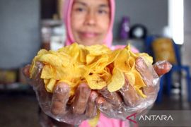 Ahli gizi: Keripik panggang belum tentu lebih sehat dari keripik biasa