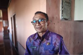 Pemprov Bali digugat investor lagi terkait lift kaca Pantai Kelingking