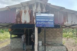 PT Timah bantu warga Sawang Laut ternak ayam kampung