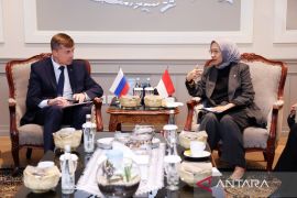 KemenPANRB-Rusia jajaki kerja sama transformasi digital pemerintahan