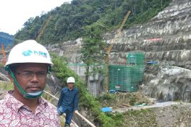 Ekonom: PLTA Batang Toru miliki fungsi strategis kebutuhan ekonomi
