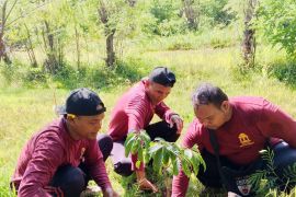IAHN Mpu Kuturan tanam pohon dukung gerakan ekoteologi