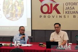 OJK tegaskan relaksasi SLIK tidak untuk hindari catatan NPL